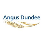 angus-dundee